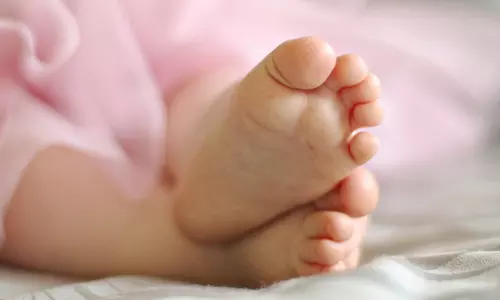 three-year-old dies after honeybee attack in alluri sitharamaraju district