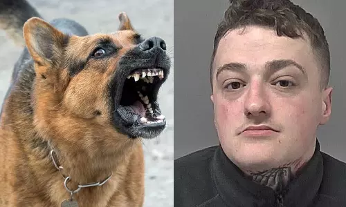 മോഷ്ടിച്ച ബൈക്കുമായി പായുന്നതിനിടെ പൊലീസ് നായ ഓടിച്ചിട്ട് കടിച്ചു; പൊലീസിനെതിരെ യുവാവ് കോടതിയിൽ