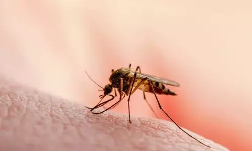 malaria
