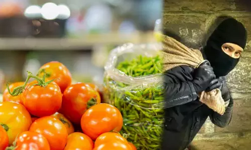 tomatoes, ginger, and chillies were missing,tomatoes looted from shops in this UP district, case filed, tomatoes price hike,തക്കാളി വില കുതിച്ചുയരുന്നു,തക്കാളിയും പച്ചമുളകും മോഷണം പോയി,തക്കാളി വില കൂടുന്നു
