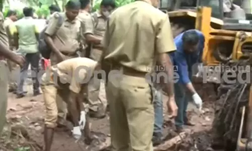 wild elephant killed