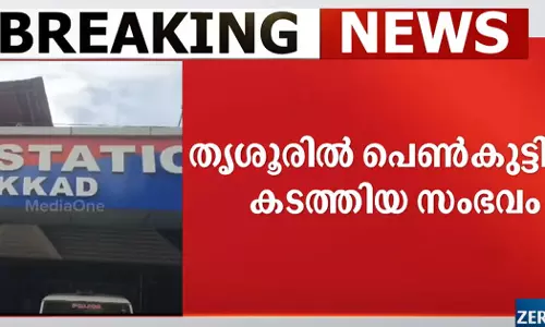 A girl and a boy who escaped from Thrissur railway station after attacking the Child Line officials have been found