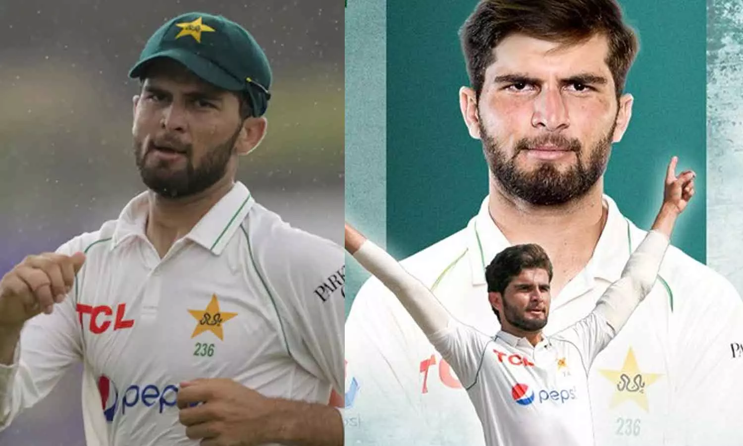 Shaheen Afridi Shaheen Afridi