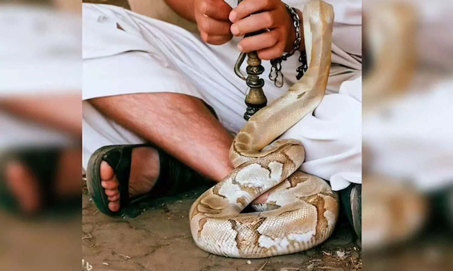 Uttarakhand ,snake charmer,murder ,lover murder,Woman in Uttarakhand hires snake charmer to murder lover,കാമുകനെ കൊലപ്പെടുത്താൻ പാമ്പാട്ടിക്ക് ക്വട്ടേഷൻ കൊടുത്ത് യുവതി,പാമ്പാട്ടിക്ക് ക്വട്ടേഷൻ കൊടുത്ത് യുവതി,കാമുകനെ കൊല്ലാന്‍ക്വട്ടേഷൻ