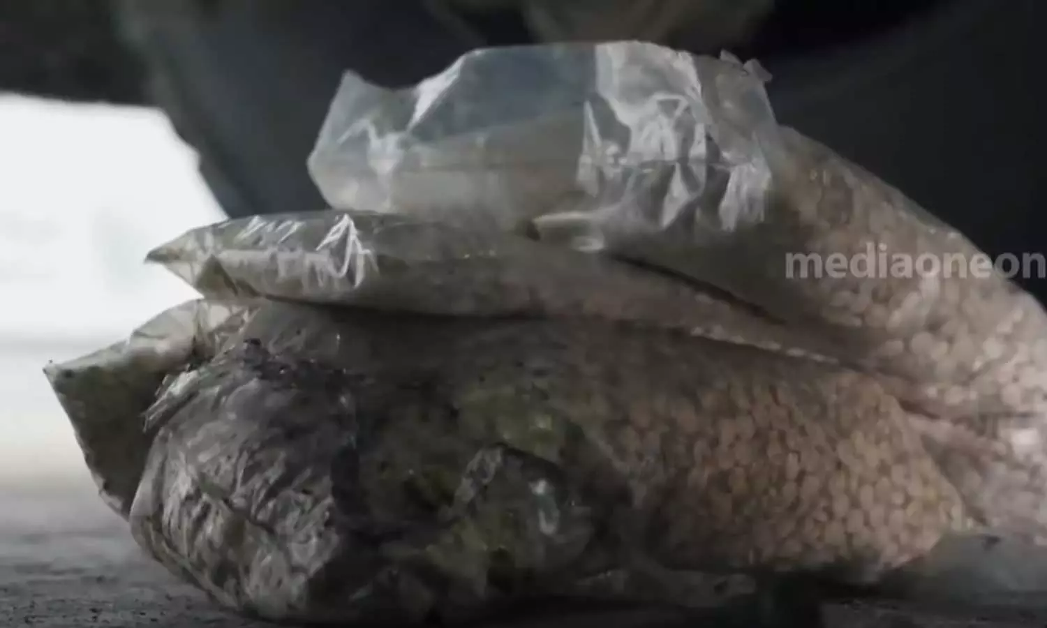 Drug hunt again in Saudi; 539000 Captagon tablets were seized