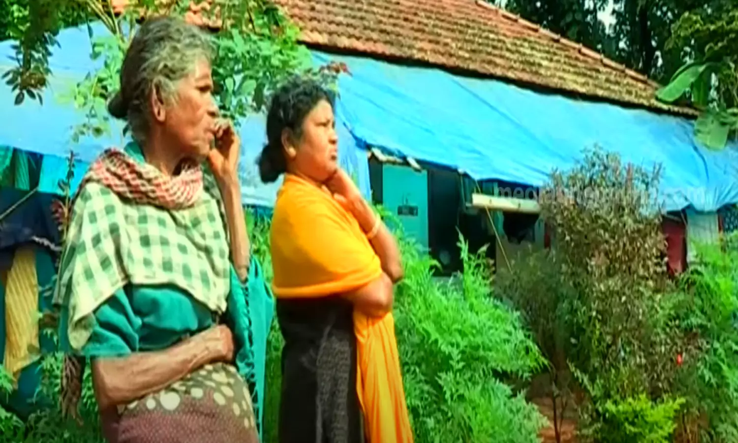 വയനാട്ടിലെ കോളനികൾ