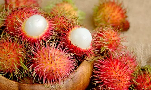 health benefits fruit Rambutan