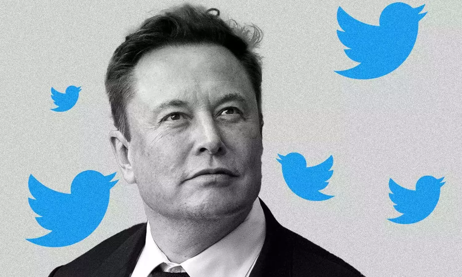 കിളി പോകുന്നു; ഇന്ന് രാത്രി ട്വിറ്റർ മുഖം മാറും