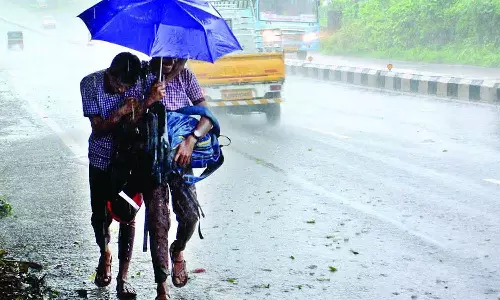 കനത്ത മഴ: വയനാട്ടിലെ വിദ്യാഭ്യാസ സ്ഥാപനങ്ങൾക്ക് നാളെ അവധി
