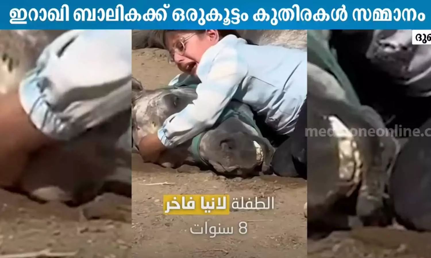 The ruler of Dubai gave a gift of horses to an Iraqi girl who broke down in tears after losing her horse The ruler of Dubai gave a gift of horses to an Iraqi girl who broke down in tears after losing her horse