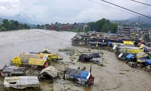 himachal pradesh flood