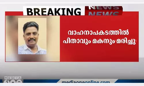 Father and son died in road accident