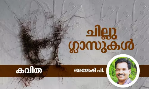 മലയാളം കവിത, മലയാള സാഹിത്യം