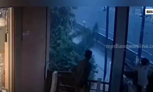 branches of tree fell on people who were on bike Tirurangadi