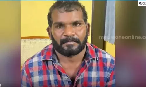 വയോധികയെ കൊലപ്പെടുത്തിയ കേസില്‍ മരുമകന്‍ അറസ്റ്റില്‍