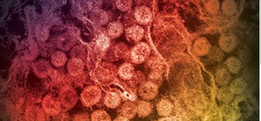 MERS virus outbreak MERS virus outbreak