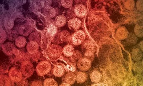 MERS virus outbreak
