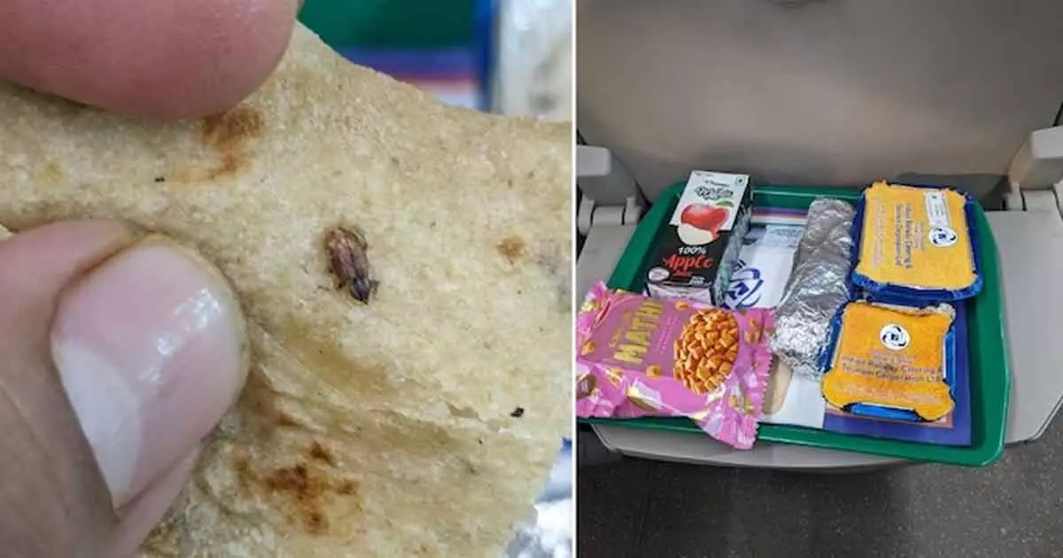 Passenger finds cockroach in food on Vande Bharat Express Passenger finds cockroach in food on Vande Bharat Express