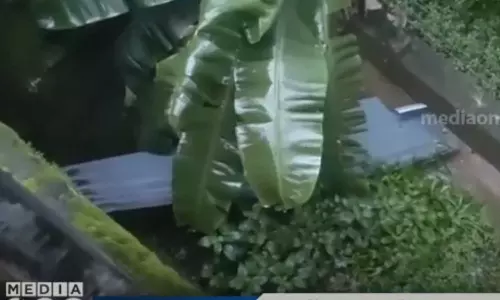 elderly man died after a tin sheet fell on his neck,breaking news malayalam,ബ്രേക്കിങ് ന്യൂസ് മലയാളം,കാറ്റിൽ പറന്നു വന്ന തകര ഷീറ്റ് കഴുത്തിൽ പതിച്ചു വയോധികൻ മരിച്ചു elderly man died after a tin sheet fell on his neck,breaking news malayalam,ബ്രേക്കിങ് ന്യൂസ് മലയാളം,കാറ്റിൽ പറന്നു വന്ന തകര ഷീറ്റ് കഴുത്തിൽ പതിച്ചു വയോധികൻ മരിച്ചു