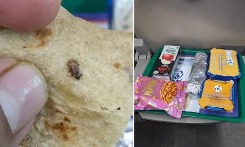 Passenger finds cockroach in food on Vande Bharat Express
