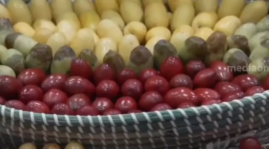 സൂഖ് വാഖിഫ് ഈത്തപ്പഴ മേളയ്ക്ക് തുടക്കം; 103 ഫാമുകള് പങ്കെടുക്കുന്നു സൂഖ് വാഖിഫ് ഈത്തപ്പഴ മേളയ്ക്ക് തുടക്കം; 103 ഫാമുകള് പങ്കെടുക്കുന്നു