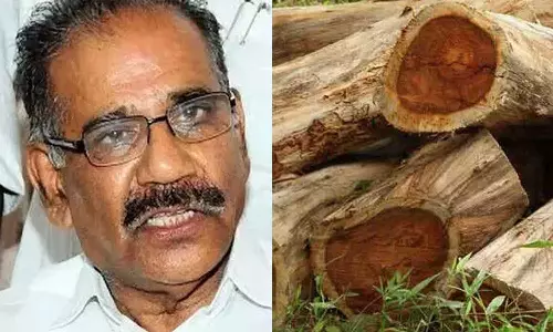 മുട്ടിൽ മരം മുറി: പ്രതികളുടെ വാദം പൊളിഞ്ഞത് വനം വകുപ്പ് നടത്തിയ ശാസ്ത്രീയ പരിശോധനയിലെന്ന് വനംമന്ത്രി