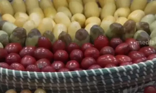 സൂഖ് വാഖിഫ് ഈത്തപ്പഴ മേളയ്ക്ക് തുടക്കം; 103 ഫാമുകള്‍ പങ്കെടുക്കുന്നു