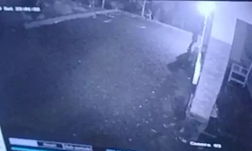 പാതിരാത്രി എത്തി ചുമരിൽ ചിത്രംവര; കണ്ണൂരിലെ ബ്ലാക്ക് മാന്റെ സിസിടിവി ദൃശ്യങ്ങൾ പുറത്ത്