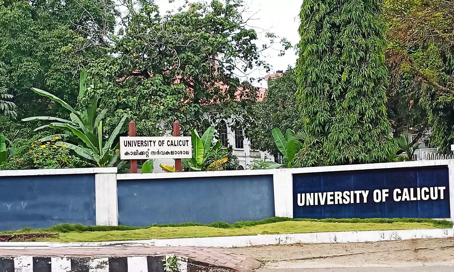 Calicut University NSS started cultivation of 270 varieties of rice seeds, Calicut University, NSS, rice seeds, rice cultivation