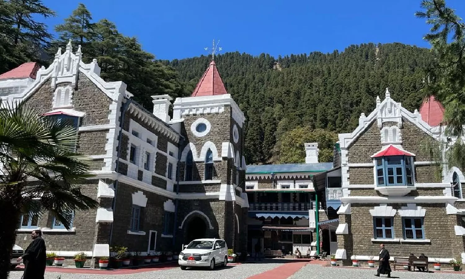 Uttarakhand HC asks man to plant 50 trees to quash case
