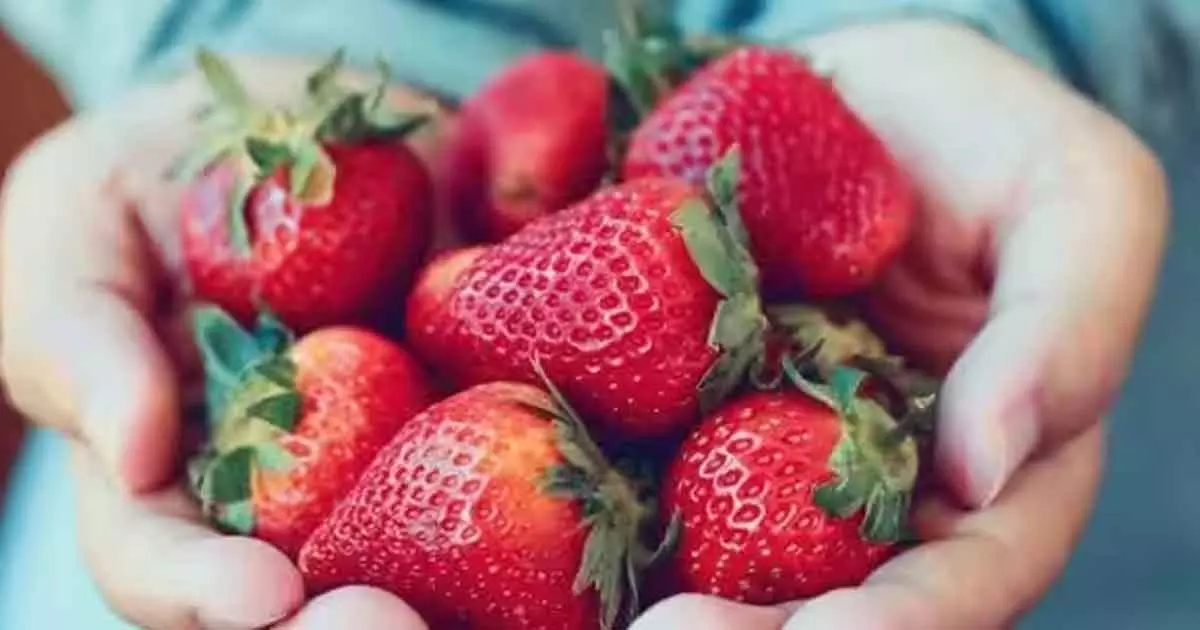 strawberry heart healthy super food