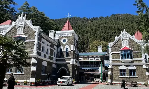 Uttarakhand HC asks man to plant 50 trees to quash case