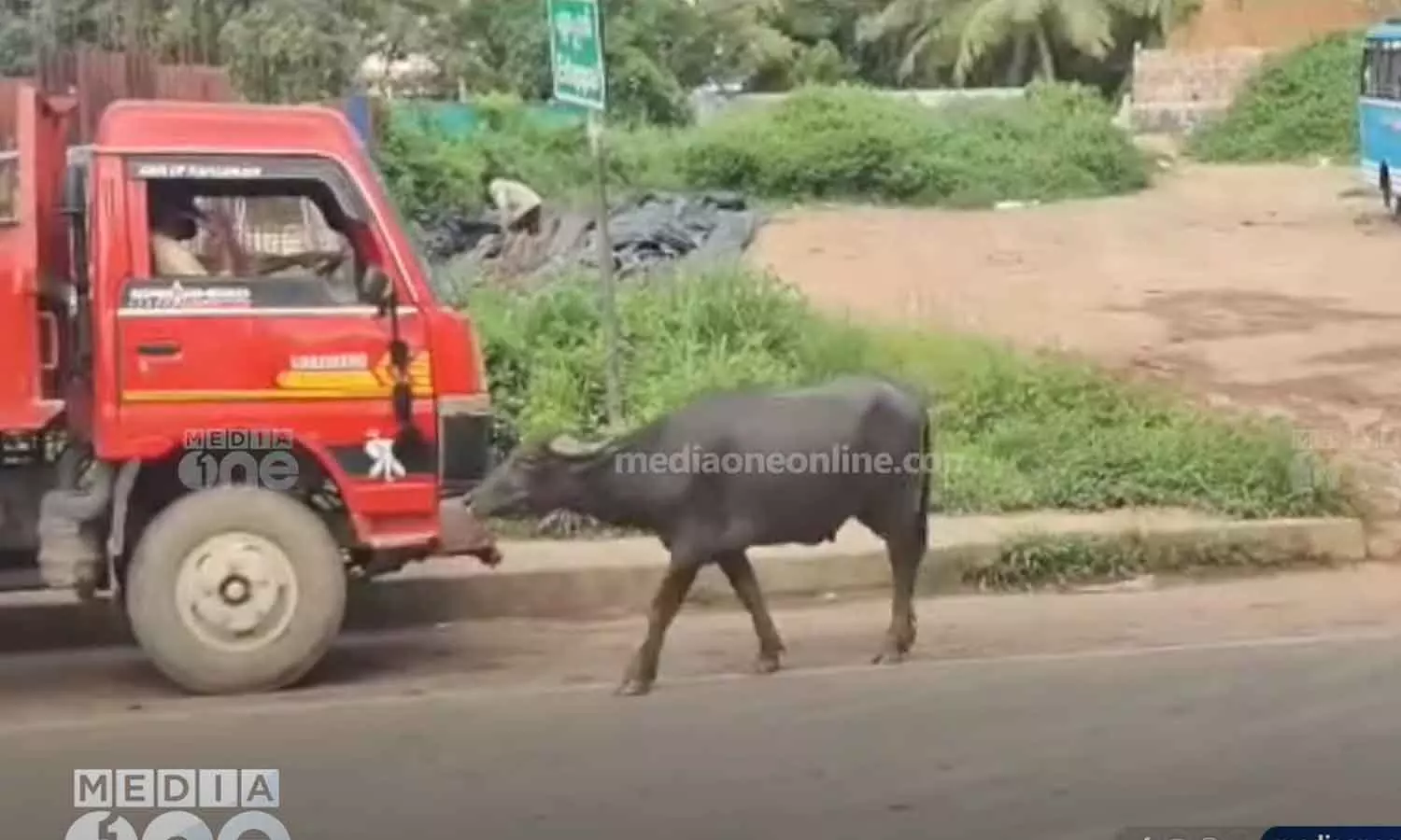 poth edappal run poth edappal run