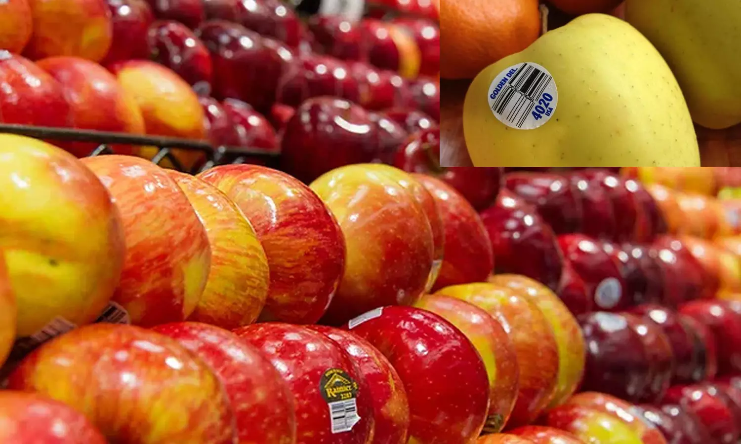 fruits and vegetables sticker code fruits and vegetables sticker code