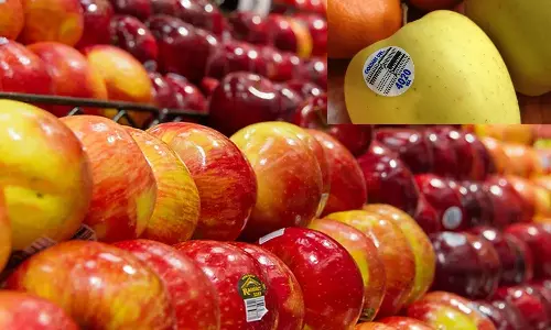 fruits and vegetables sticker code fruits and vegetables sticker code