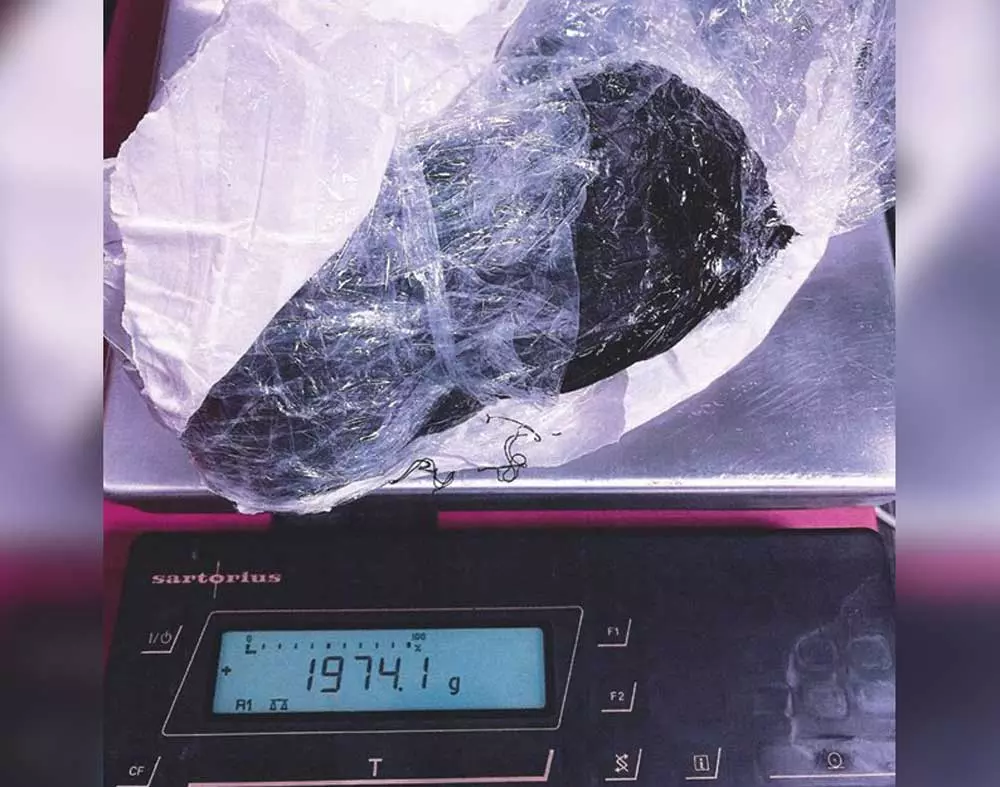 Cannabis seize Cannabis seize