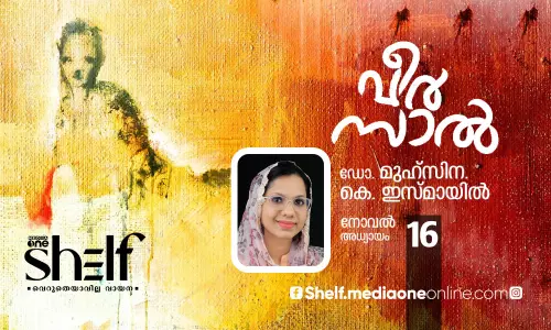 പാറക്കല്ലില്‍ ഒളിച്ചിരുന്ന രഹസ്യകോഡ്