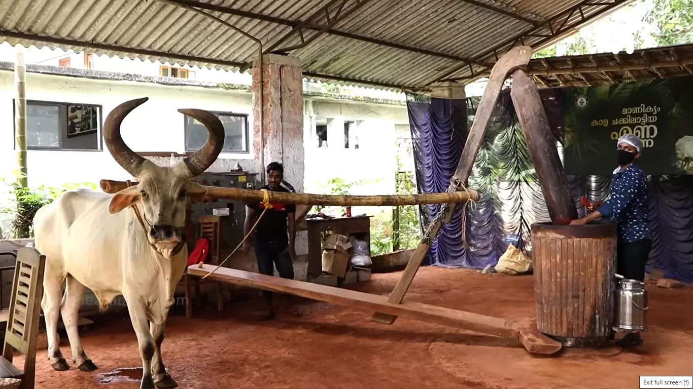 ചക്കും, ചക്കിലാട്ടിയ വെളിച്ചെണ്ണയും