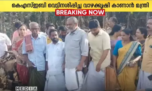 Minister P. Prasad visited Kothamangalam Puthupadi, where KSEB authorities destroyed the banana plantation