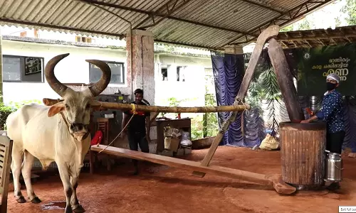 ചക്കും, ചക്കിലാട്ടിയ വെളിച്ചെണ്ണയും