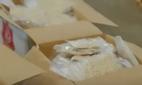 ജിദ്ദ തുറമുഖത്ത് വൻ ലഹരിവേട്ട; 23 ലക്ഷത്തോളം ലഹരി ഗുളികകൾ പിടികൂടി