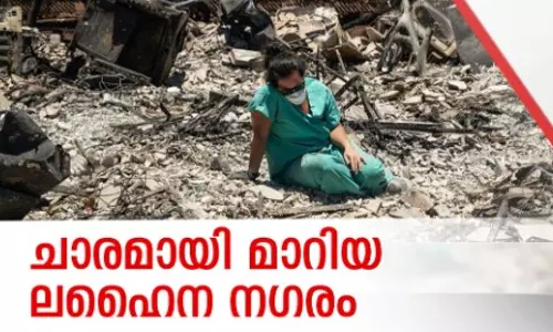 ചാരമായി മാറിയ ലഹൈന ന​ഗരം | World With US