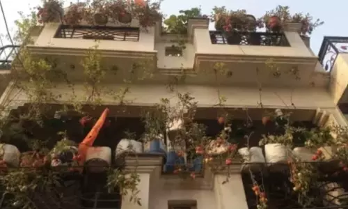 മട്ടുപ്പാവിൽ ഉണ്ടാക്കിയത് 250 കിലോ തക്കാളി; വിലക്കയറ്റത്തിനിടെ യുപി സ്വദേശി താരമാകുന്നു