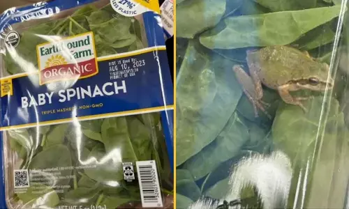 spinach