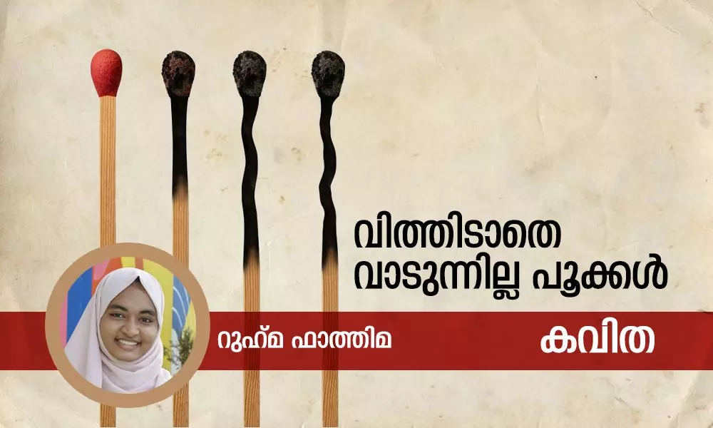 വിത്തിടാതെ വാടുന്നില്ല പൂക്കള്‍