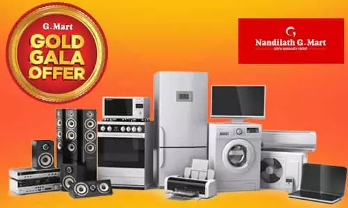 nandilath g mart onam offers