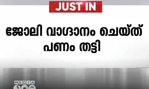 എറണാകുളത്ത് ജോലി വാഗ്ദാനം ചെയ്ത് പണം തട്ടിയെടുത്ത കേസിലെ പ്രതി പിടിയിൽ