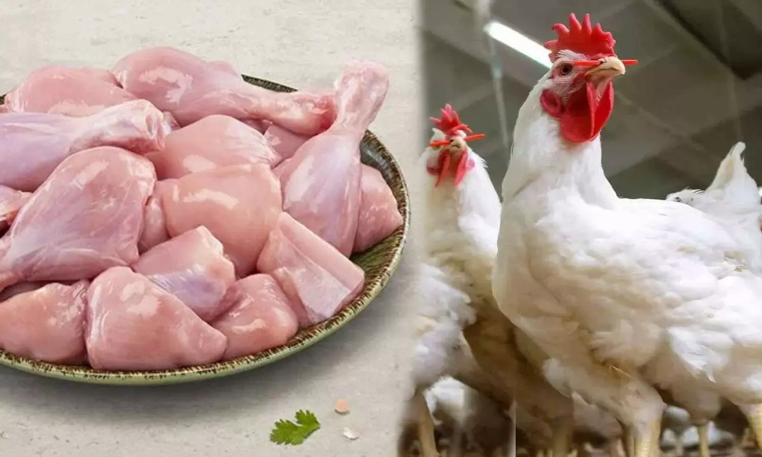 Chicken price,Rising chicken prices,Chicken price increases by Rs.50,ചിക്കൻ കഴിക്കാൻ പാടുപെടും; ഒരാഴ്ചയക്കിടെ കൂടിയത് 50 രൂപ, ഓണമടുത്തതോടെ കോഴി ഇറച്ചിയുടെ വില കുത്തനെ ഉയരുന്നുlatest malayalam news,