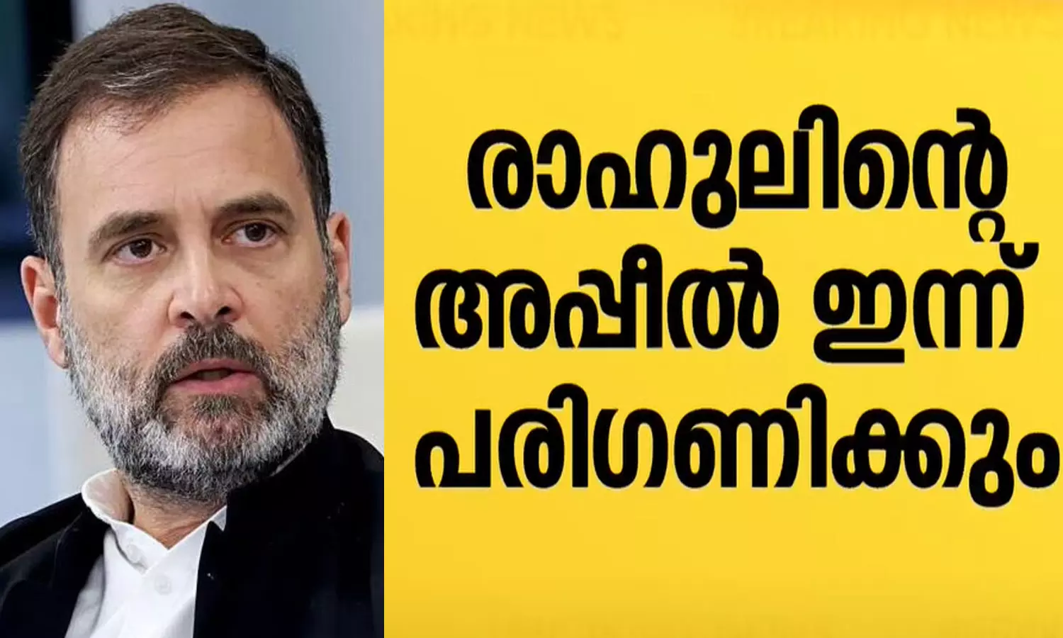 rahul gandhi rahul gandhi