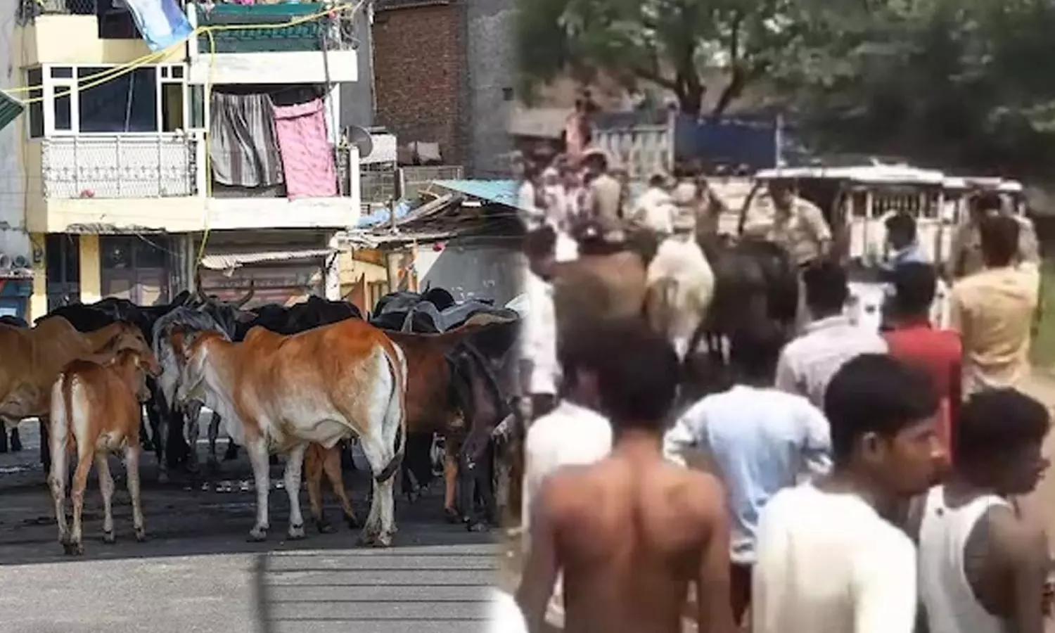 Case against 90 people for blocking Uttar Pradesh ministers convoy with stray cattle,Villagers Block UP Ministers Convoy With Stray Cattle,കന്നുകാലികളുമായി മന്ത്രിയുടെ വാഹനവ്യൂഹം തടഞ്ഞു; യു.പിയിൽ 90 പേർക്കെതിരെ കേസ്,മന്ത്രിയുടെ വാഹനവ്യൂഹം തടഞ്ഞവര്‍ക്കെതിരെ കേസ്